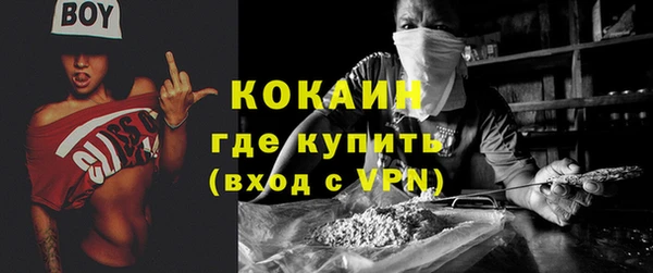амф Тайга