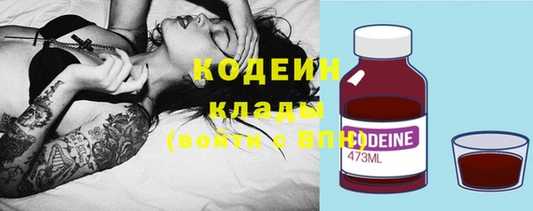 гашик Тавда