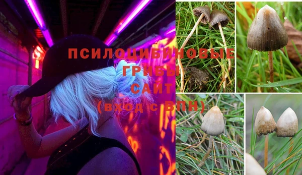 метадон Сясьстрой