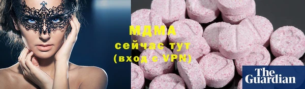 амф Тайга