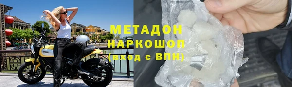 амф Тайга