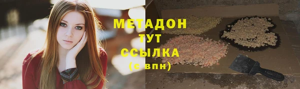 гашик Тавда