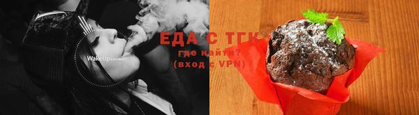 гашик Тавда