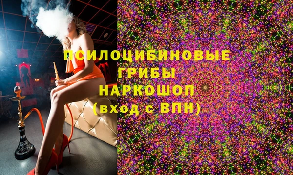 гашик Тавда