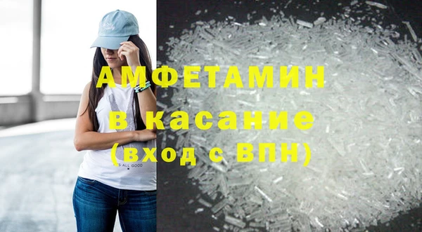 амф Тайга