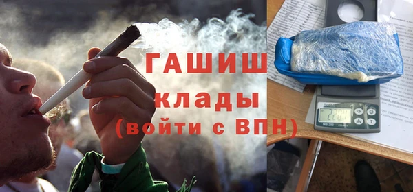 амф Тайга