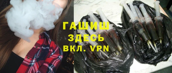 амф Тайга