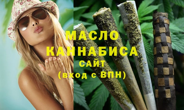 амф Тайга
