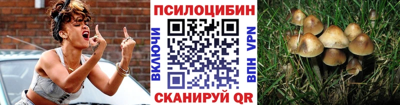 МЕГА зеркало  Кстово  Псилоцибиновые грибы GOLDEN TEACHER 